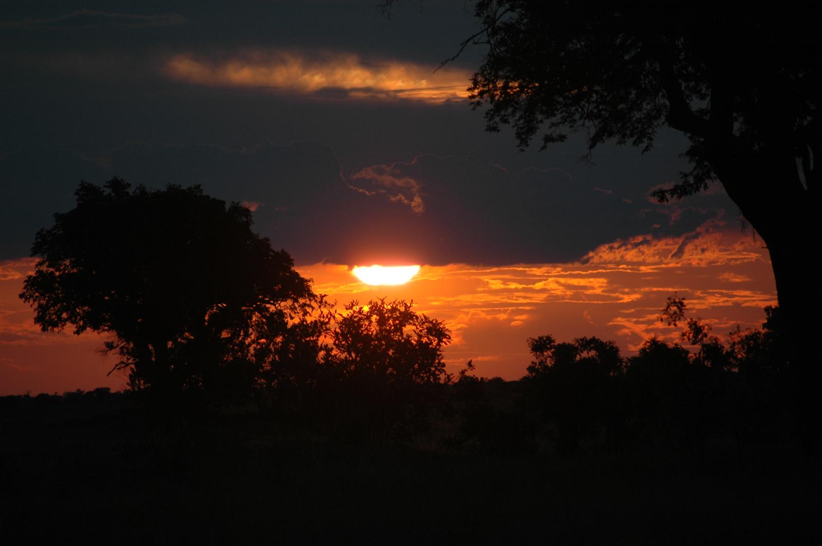 Atardecer africano sobre el bush