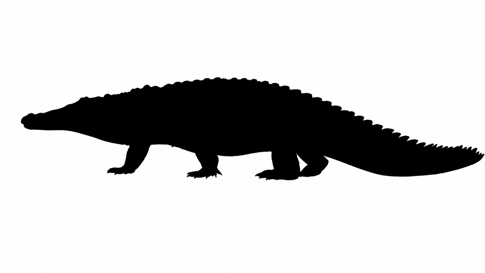 Cocodrilo del Nilo