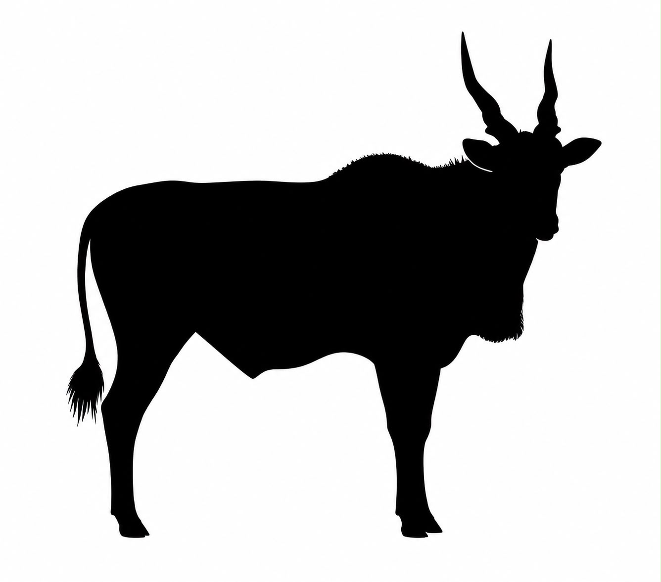 Eland