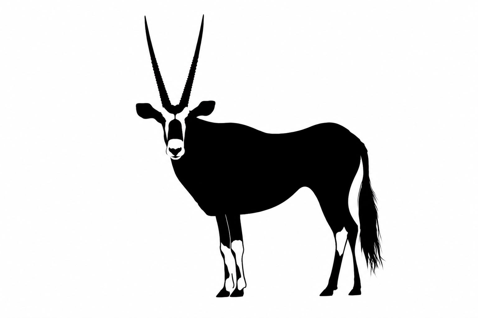 Gemsbok