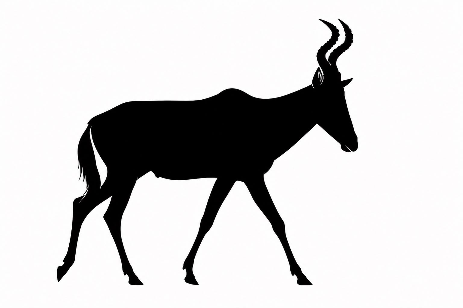Hartebeest rojo