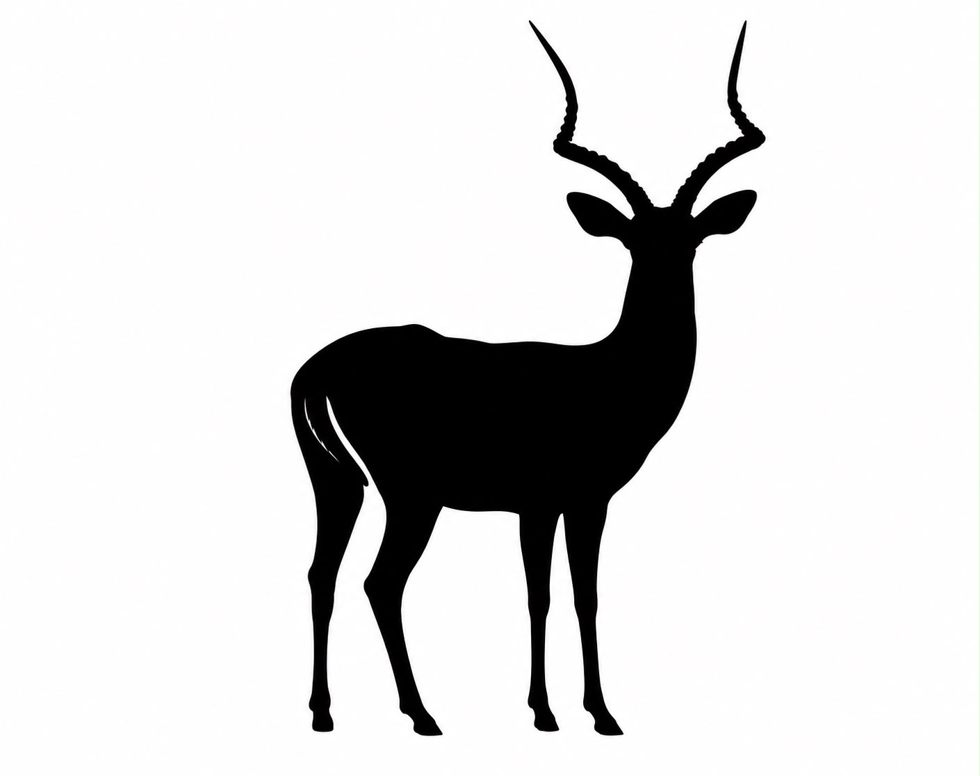 Impala