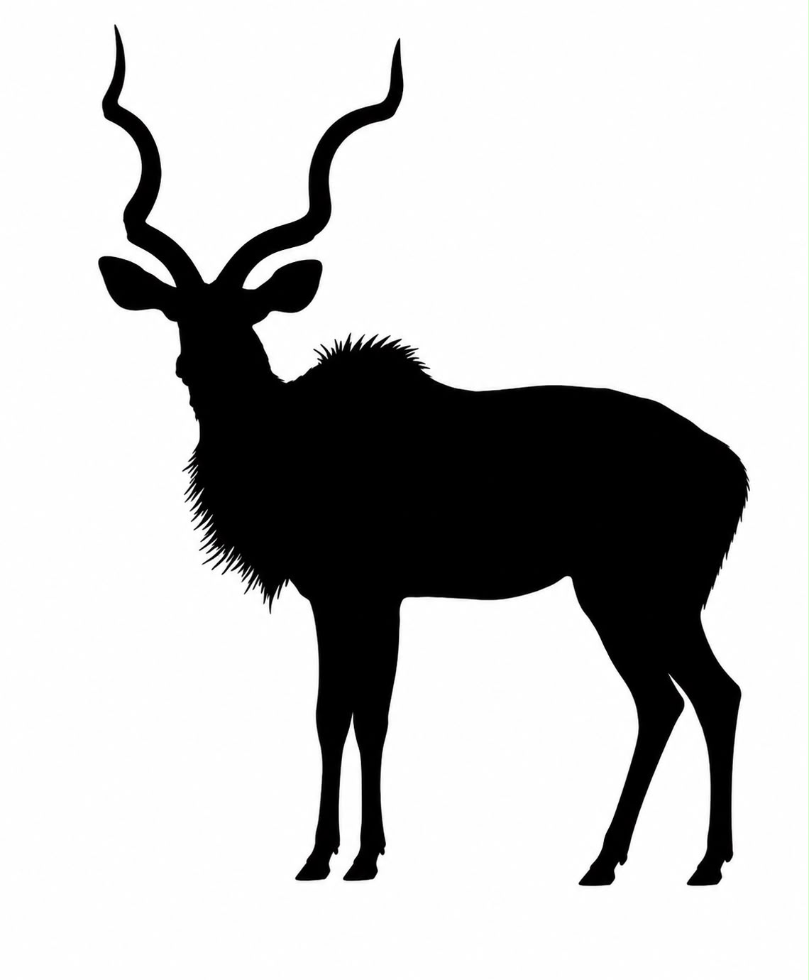 Kudú