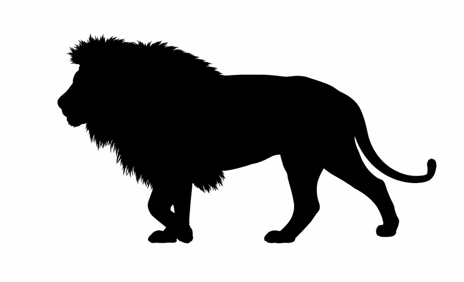 León