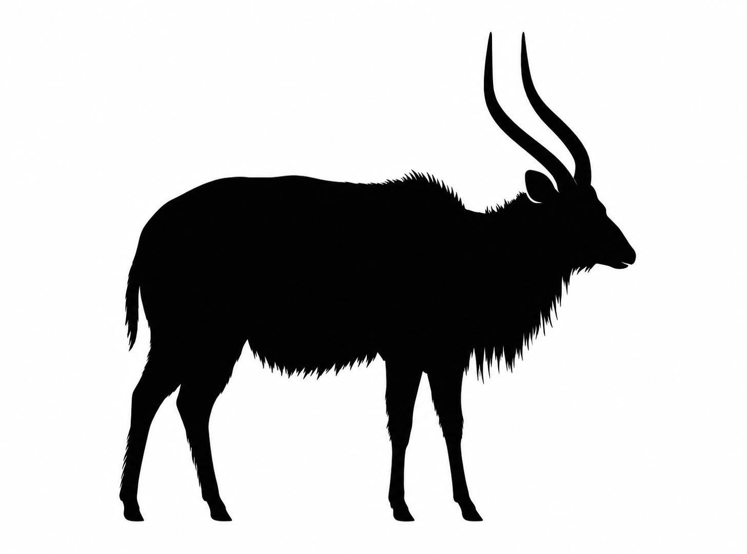 Nyala