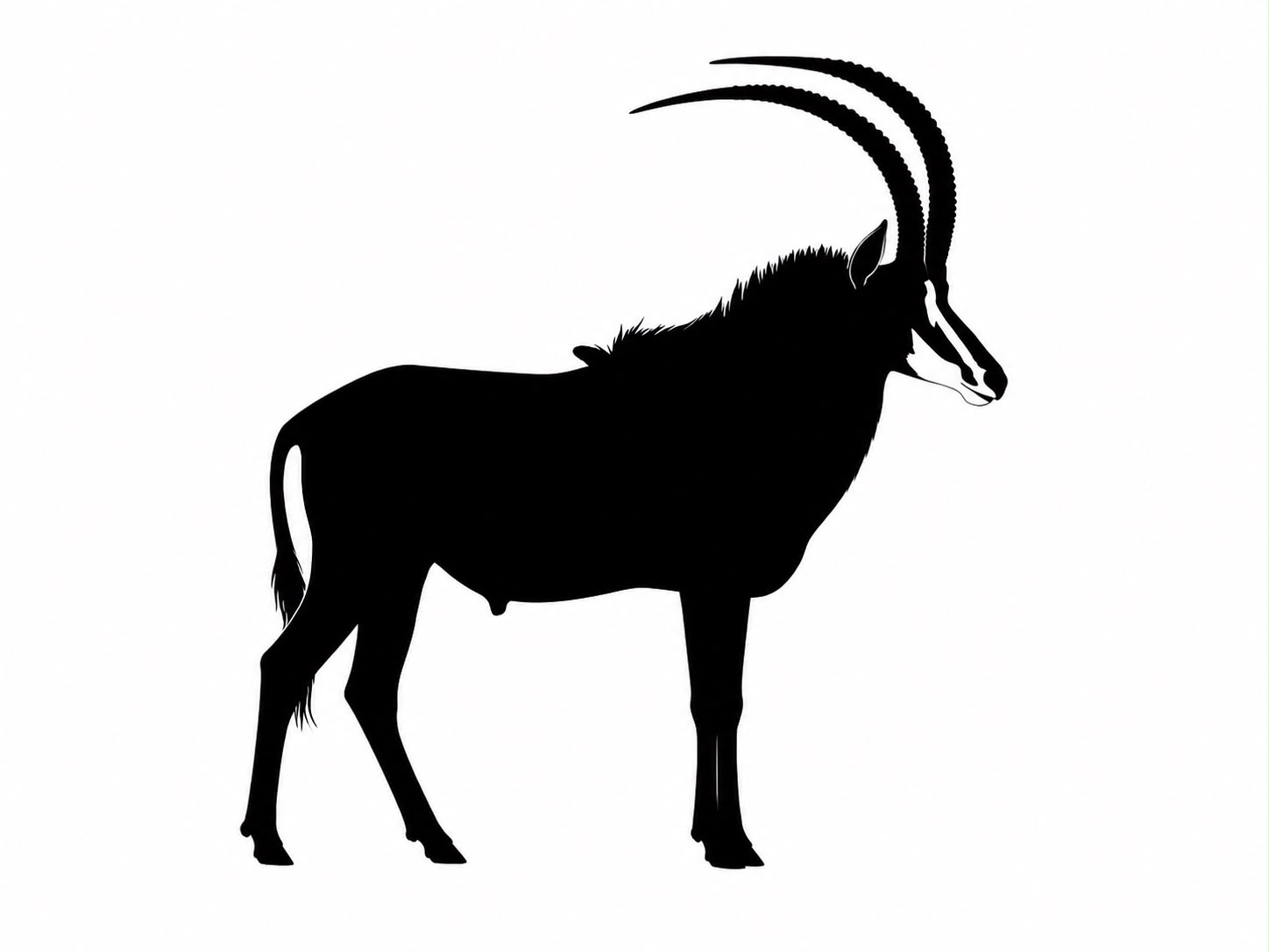 Antílope sable